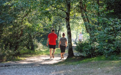 Camminare ogni giorno, perché anche pochi minuti possono fare la differenza