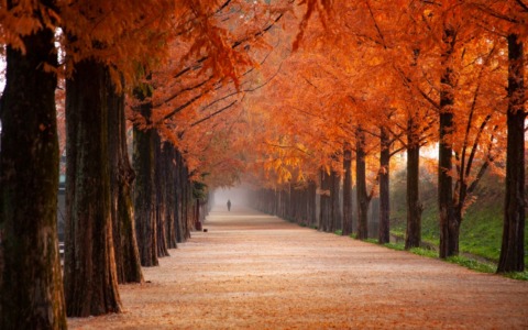 L’Italia aspetta il cambio di stagione: quando arriva il vero autunno?