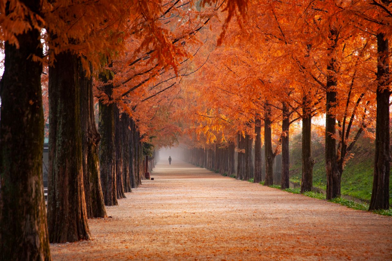 L’Italia aspetta il cambio di stagione: quando arriva il vero autunno?