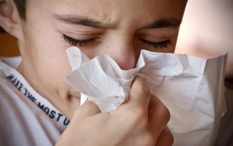 Starnuti e naso chiuso a settembre: quando può essere un’allergia