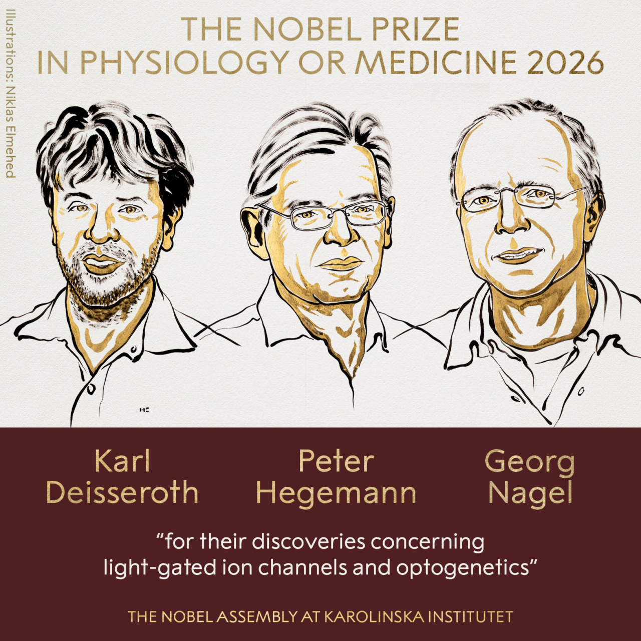 Nobel per la Medicina 2026 a Deisseroth, Hegemann e Nagel: premiata l’optogenetica