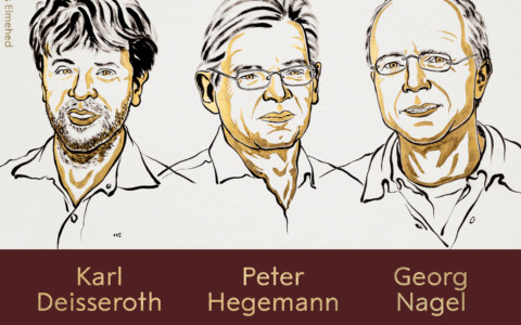 Nobel per la Medicina 2026 a Deisseroth, Hegemann e Nagel: premiata l’optogenetica