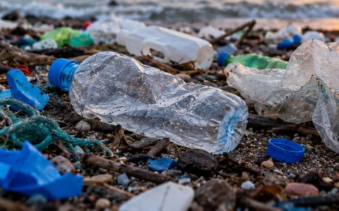 Ecomafia 2026: reati ambientali in calo, ma il business illegale sale a 11,5 miliardi