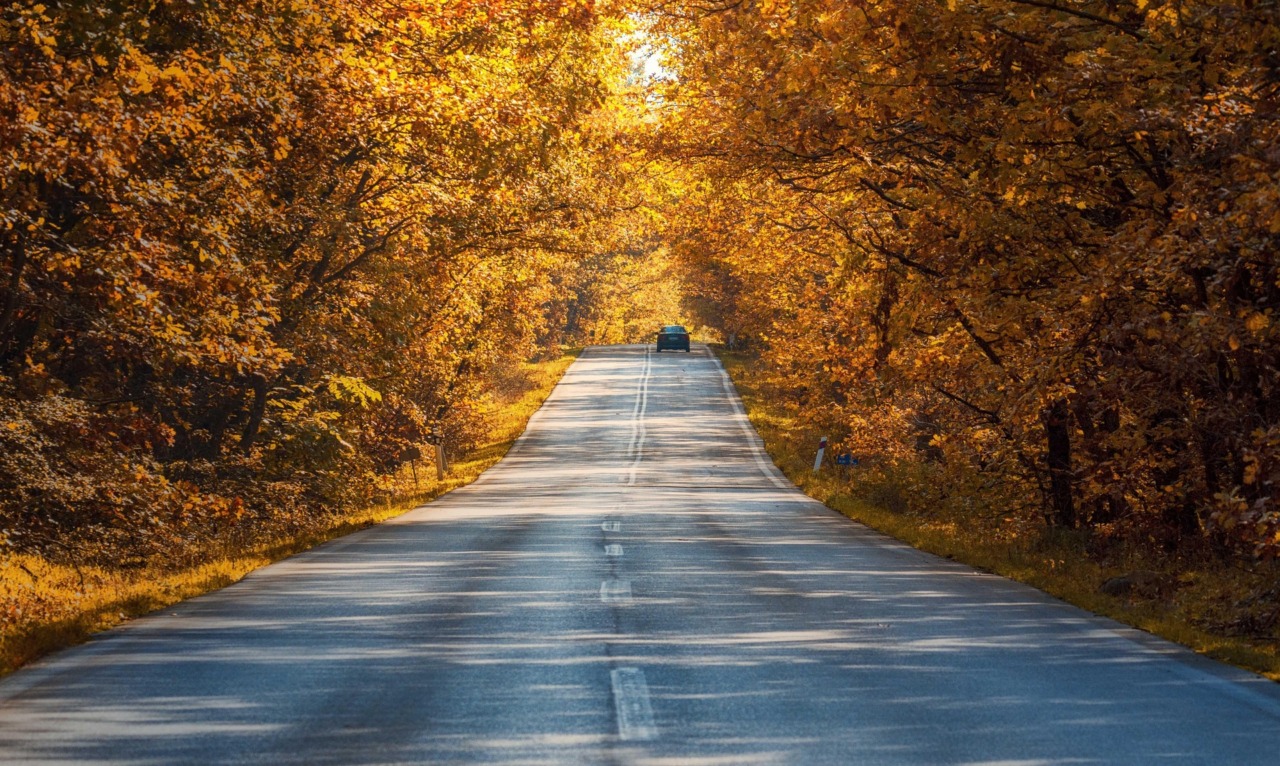 Viaggi in autunno, perché ottobre è un buon momento per partire