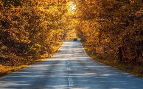 Viaggi in autunno, perché ottobre è un buon momento per partire