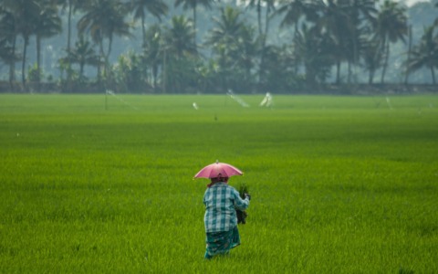 Inaccettabile importare a dazio zero da Cambogia e Myanmar mentre l’Onu certifica torture, lavoro minorile e guerra